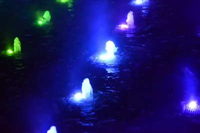 DSC_0722 (Large).JPG